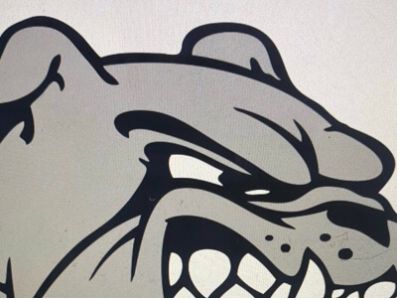 The official logo of AVAC HOYAS 9u