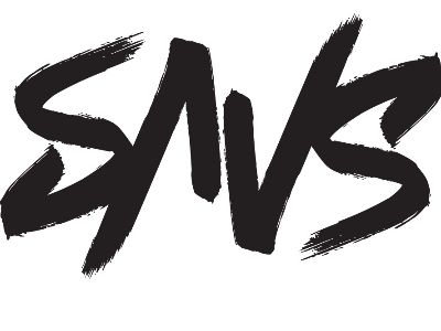 Organization logo for TEAM SAVS