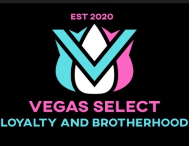 The official logo of Vegas select basketball