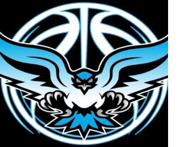 Organization logo for West Coast Flight