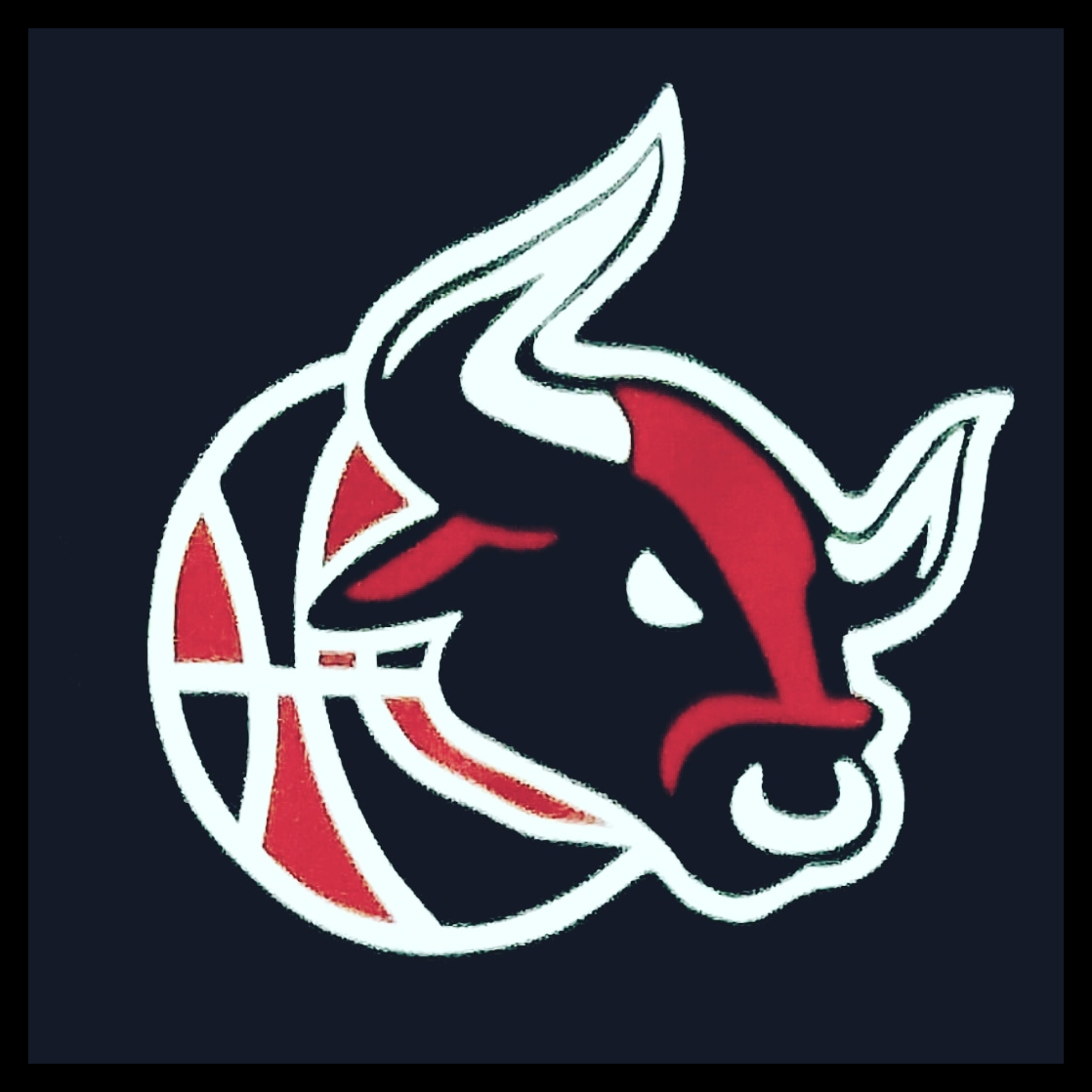 The official logo of Young Bulls Youth Basketball Program