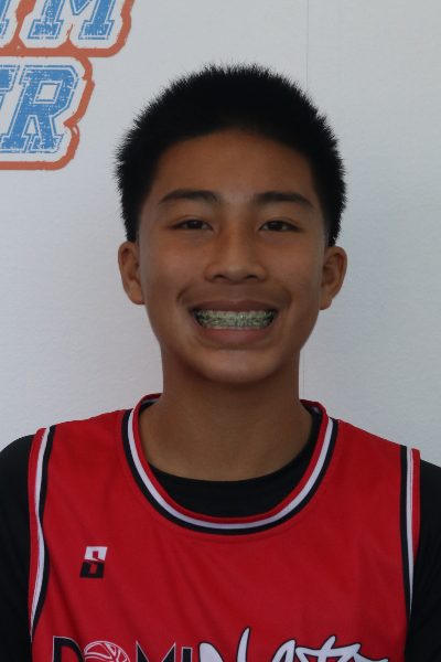 Ethan Q Nguyen